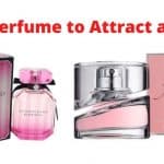 Best Perfume to Attract a Man