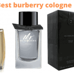 Best Burberry Cologne