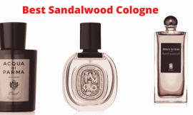 8 Best Sandalwood Cologne 2022